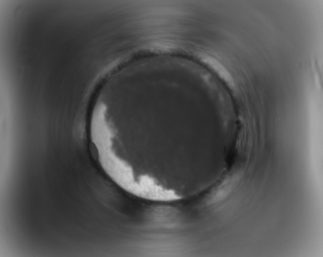 X0000092060399200709262031