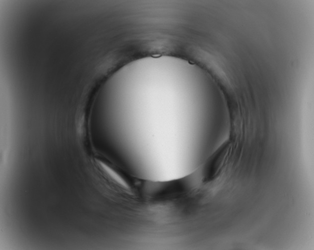 X0000092060403200709262031