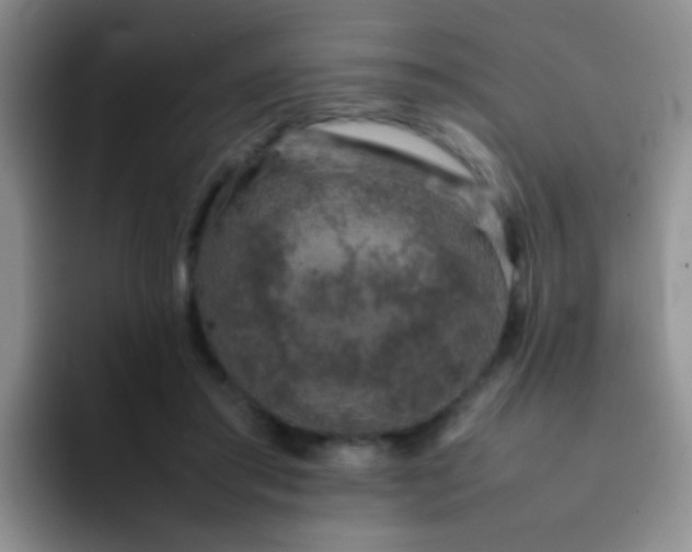 X0000092060405200709262031