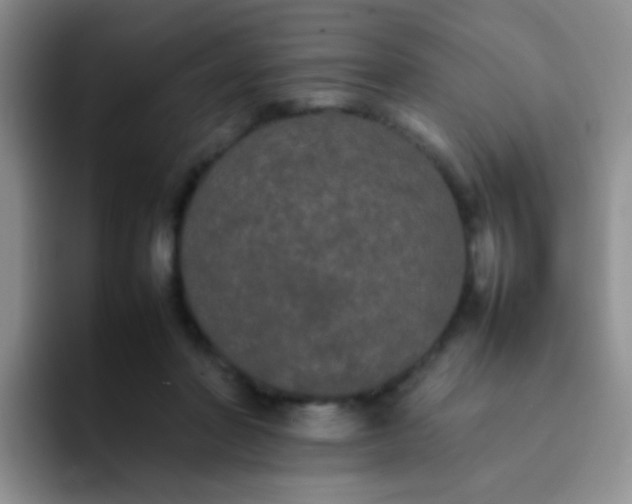 X0000092060406200709262031