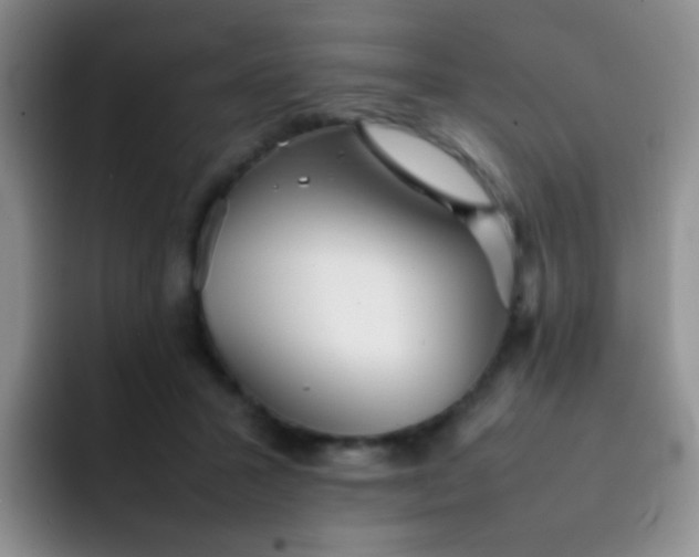 X0000092060407200709262031