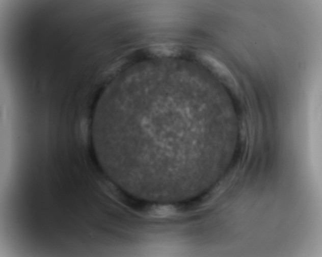 X0000092060409200709262031