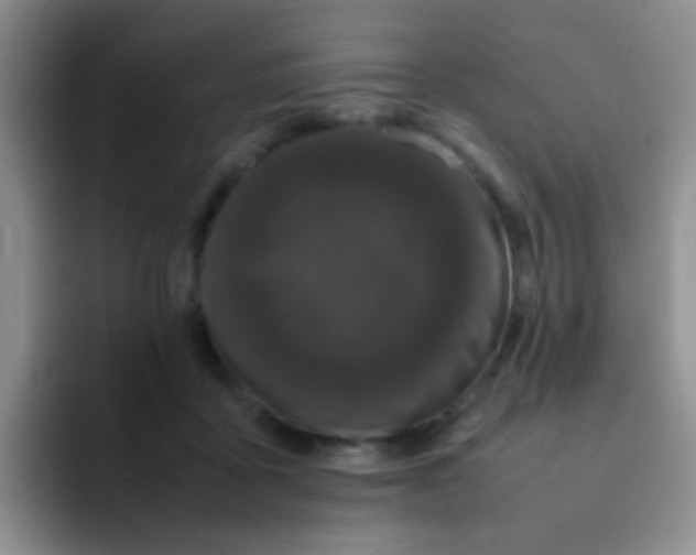 X0000092060411200709262031