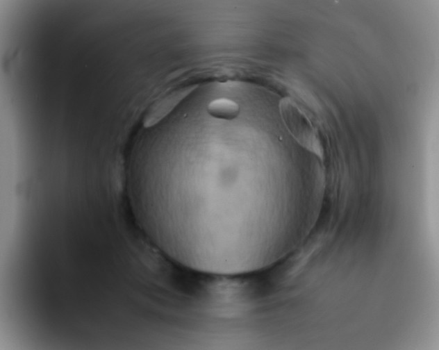 X0000092060413200709262031