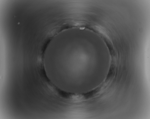 X0000092060415200709262031