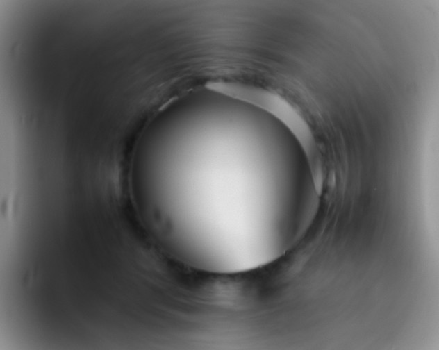 X0000092060416200709262031