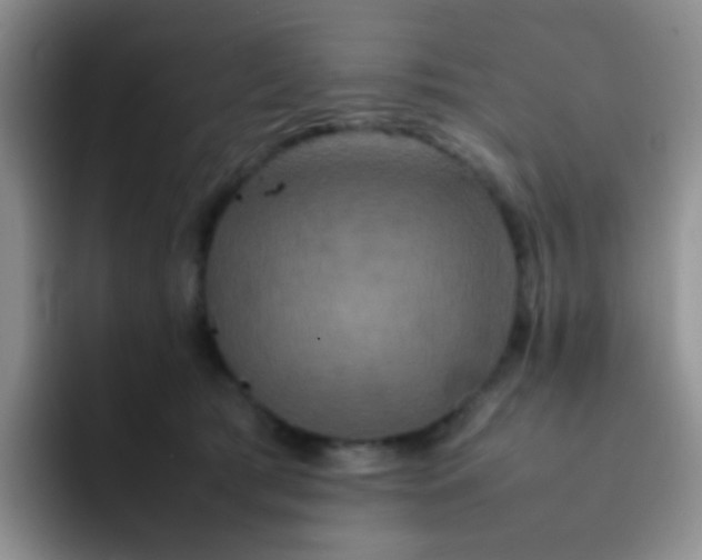 X0000092060417200709262031