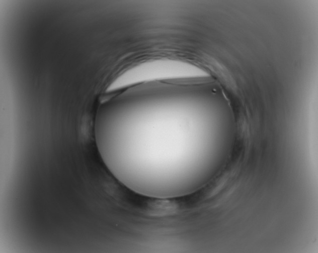 X0000092060421200709262031