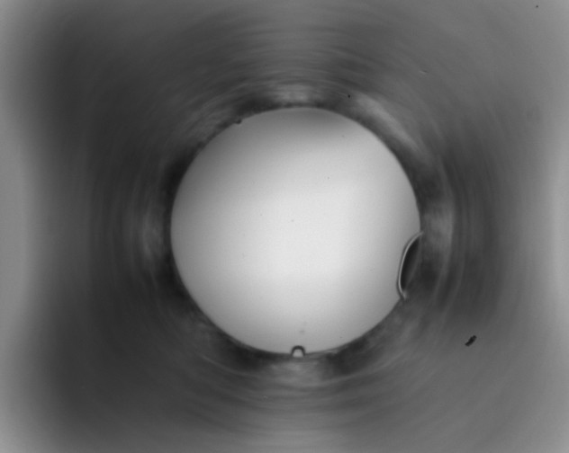 X0000092060422200709262031