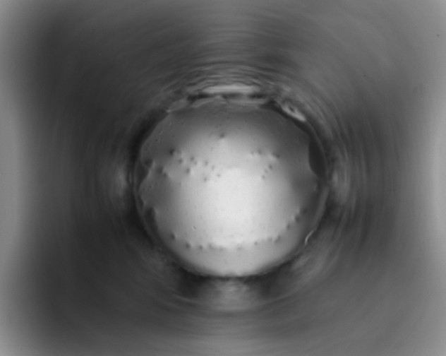 X0000092060424200709262031