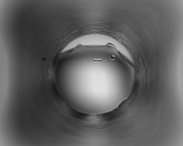 X0000092060425200709262031