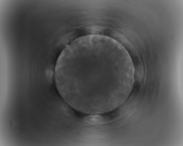 X0000092060427200709262031