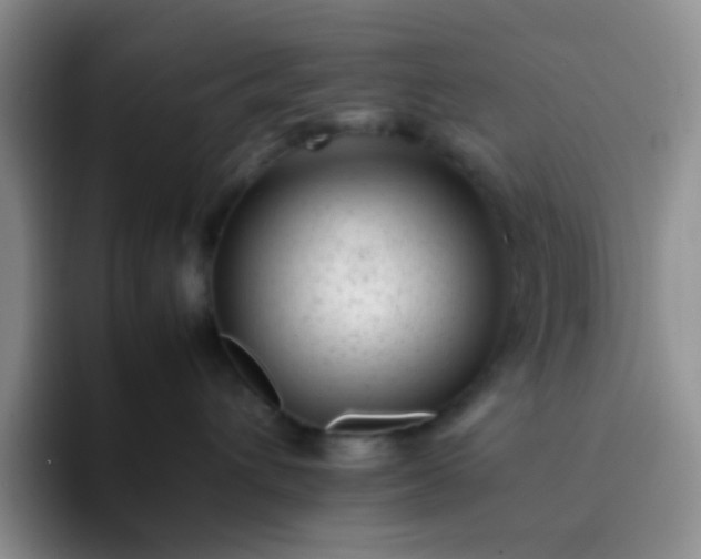 X0000092060432200709262031