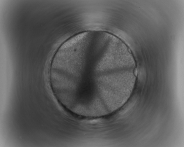 X0000092060433200709262030