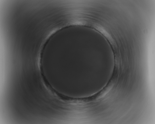 X0000092060434200709262030