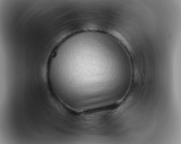 X0000092060439200709262030