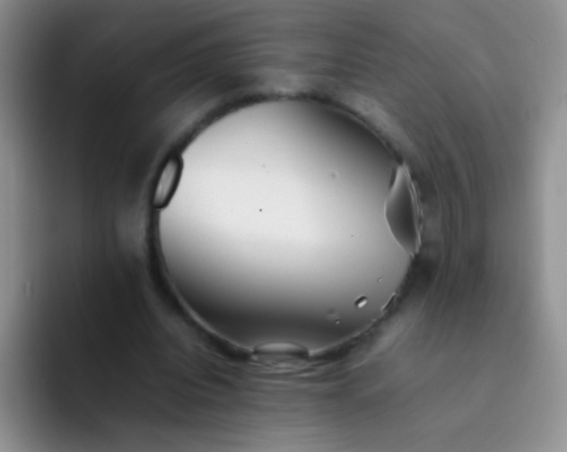 X0000092060440200709262030