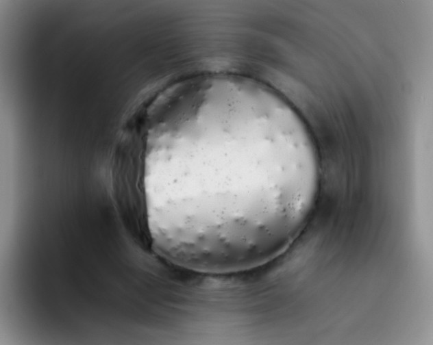 X0000092060442200709262030