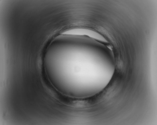 X0000092060448200709262031