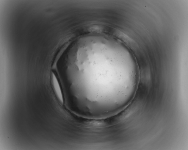 X0000092060449200709262031