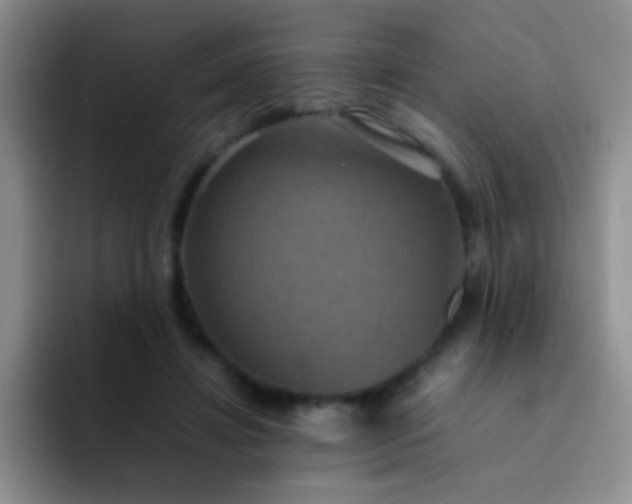 X0000092060452200709262031