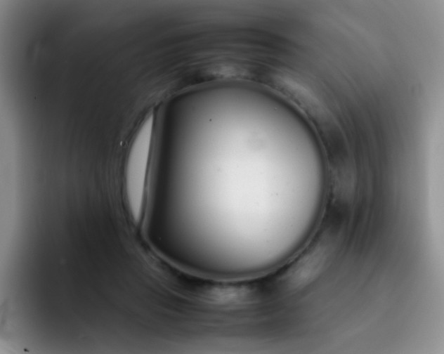 X0000092060453200709262031