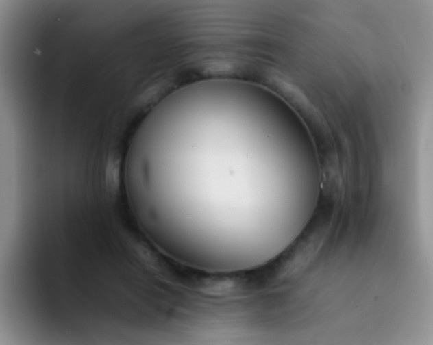 X0000092060454200709262031