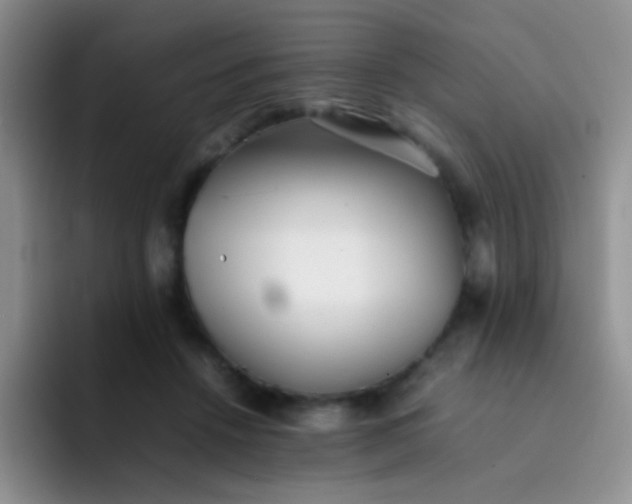 X0000092060456200709262031