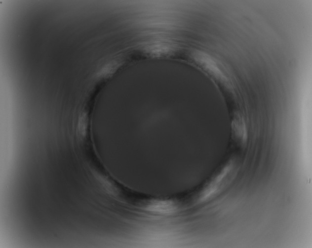 X0000092060458200709262031