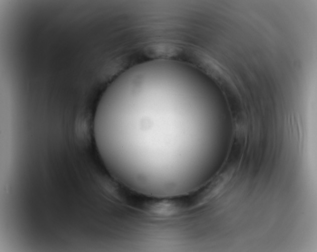 X0000092060460200709262031