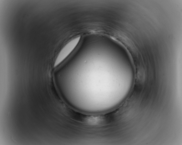 X0000092060461200709262031