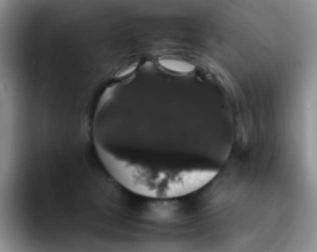 X0000092060465200709262031