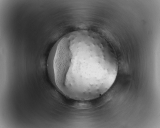 X0000092060466200709262031