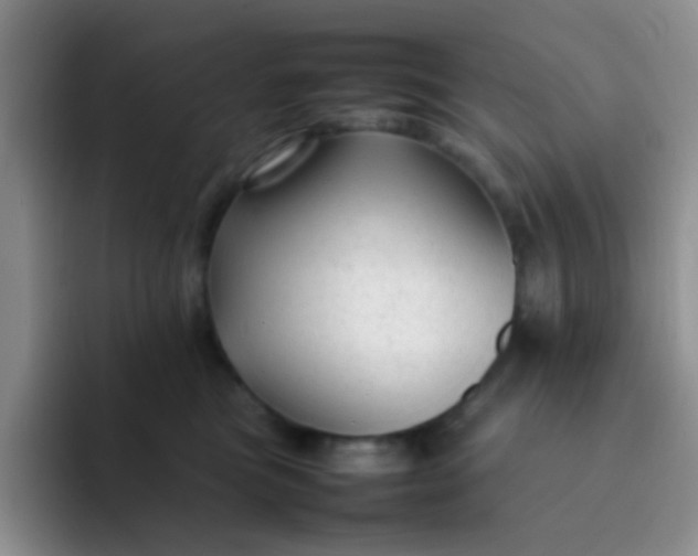 X0000092060473200709262031