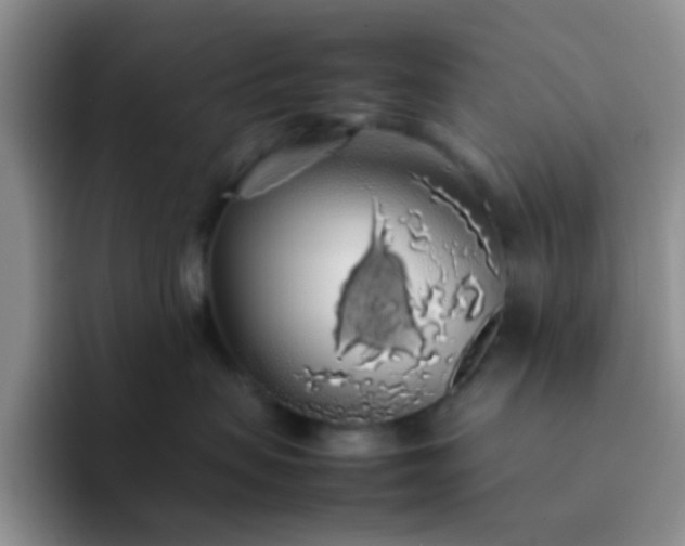 X0000092060479200709262031