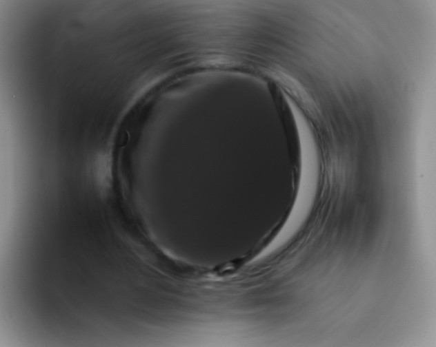 X0000092060484200709262030