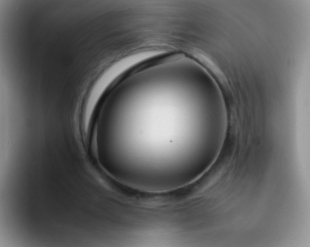 X0000092060485200709262030