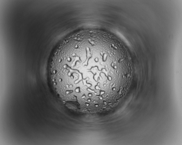 X0000092060487200709262030