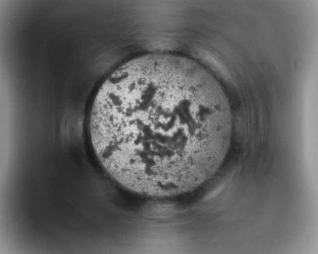 X0000092060491200709262030