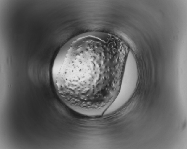 X0000092060493200709262030