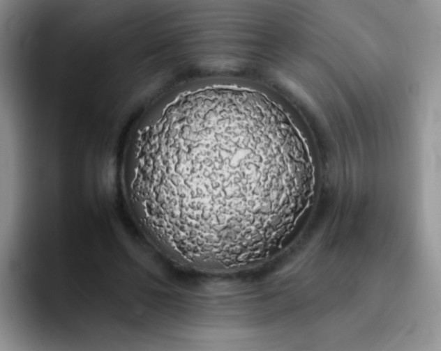 X0000092060494200709262030