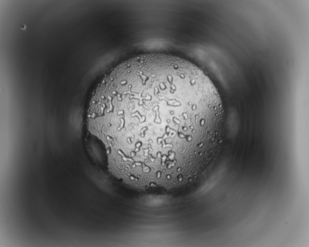 X0000092060495200709262030