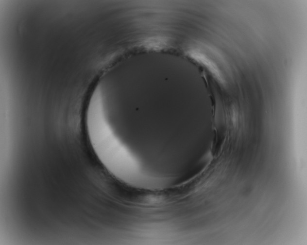 X0000092060496200709262030