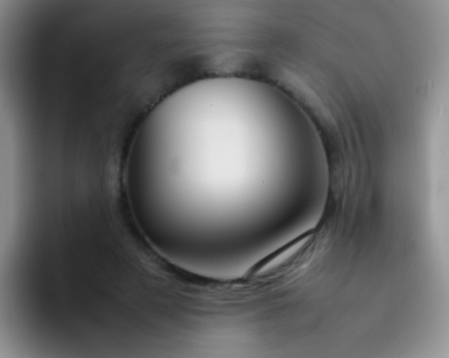 X0000092060497200709262030