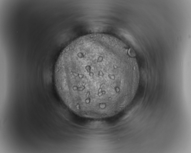 X0000092060499200709262030