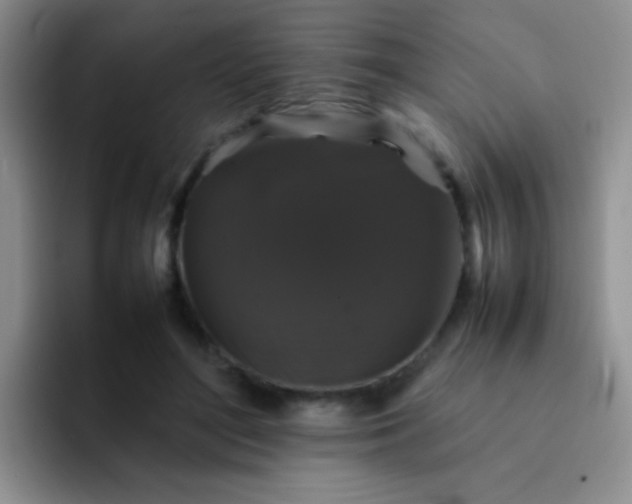 X0000092060500200709262030