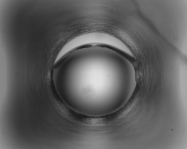 X0000092060501200709262030