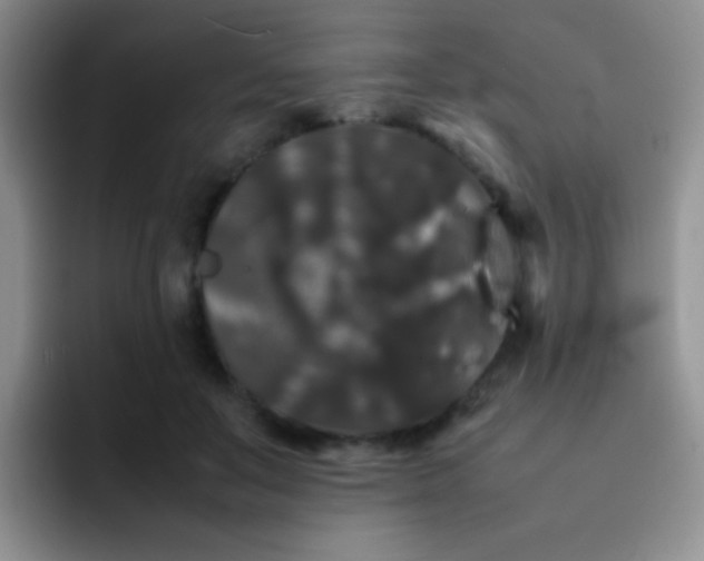 X0000092060503200709262030