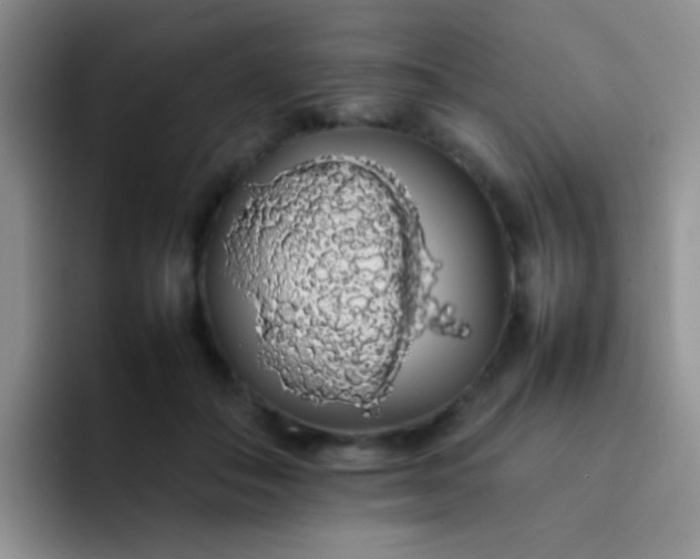 X0000092060506200709262030