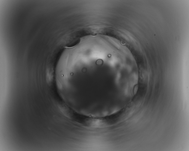 X0000092060507200709262030